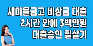 새마을금고-비상금-대출